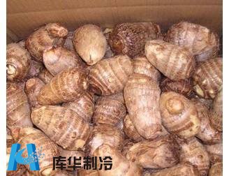 提高農產品收益芋頭保鮮冷庫建造